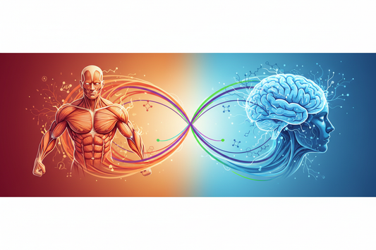 Beta-Alanine vs. Caffeine: Two Different Approaches to Boosting Energy